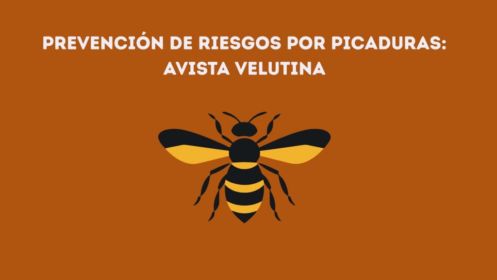 Recomendaciones picaduras avispa velutina sector forestal y agroganadero