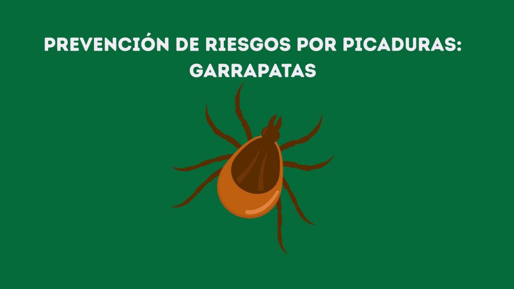 Recomendaciones picaduras garrapatas sector forestal y agroganadero